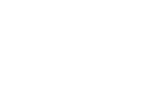 DogStyl.expert